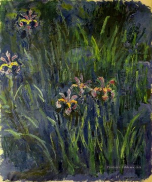  claude - Iris II Claude Monet Fleurs impressionnistes